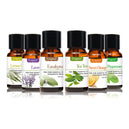 100% PURE & NATURELLE PACK DE 6 HUILES ESSENTIELLES POUR DIFFUSEURS