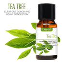 100% PURE & NATURELLE PACK DE 6 HUILES ESSENTIELLES POUR DIFFUSEURS