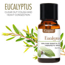 100% PURE & NATURELLE PACK DE 6 HUILES ESSENTIELLES POUR DIFFUSEURS