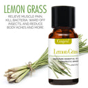 100% PURE & NATURELLE PACK DE 6 HUILES ESSENTIELLES POUR DIFFUSEURS