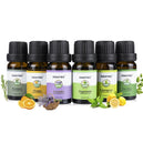 100% PURE & NATURELLE PACK DE 6 HUILES ESSENTIELLES POUR DIFFUSEURS